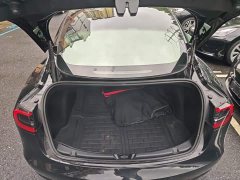 Tesla Model 3 Standard Range RWD Upgrade 3D6 - ფოტო 19