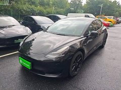 Tesla Model 3 Standard Range RWD Upgrade 3D6 - ფოტო 2