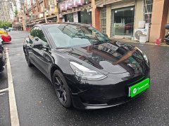 Tesla Model 3 Standard Range RWD Upgrade 3D6 - ფოტო 4
