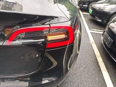 Tesla Model 3 Standard Range RWD Upgrade 3D6 - ფოტო 8