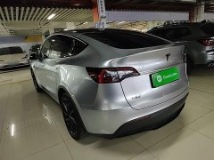 Tesla Model Y Rear-Wheel Drive - ფოტო 5