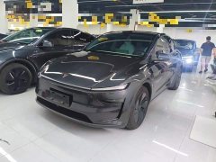 Tesla Model Y Long Range All-Wheel Drive - ფოტო 1
