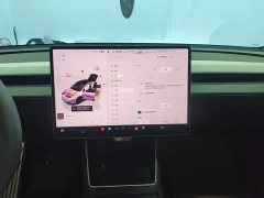 Tesla Model Y Long Range All-Wheel Drive - ფოტო 9