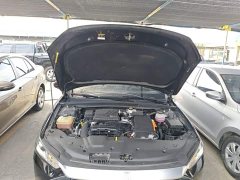 BYD Qin PLUS Champion Edition DM-i 55KM Leading - ფოტო 20