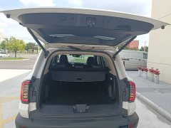 Great Wall Dachshund 2021 1.5T DCT Two-Wheel Drive Border Collie Edition - ფოტო 19