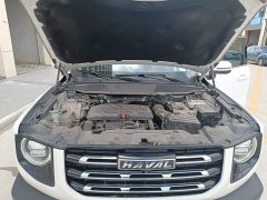 Great Wall Dachshund 2021 1.5T DCT Two-Wheel Drive Border Collie Edition - ფოტო 20