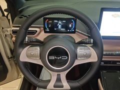 BYD Seagull Freedom Edition - ფოტო 11