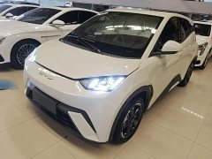 BYD Seagull Freedom Edition - ფოტო 2