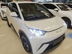 BYD Seagull Freedom Edition - ფოტო 4