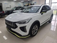 Haval Chitu Jingxiang Edition 1.5T Purple Copper Rabbit - ფოტო 1