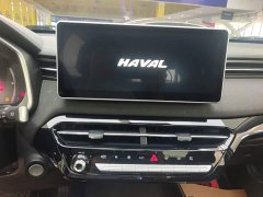 Haval Chitu Jingxiang Edition 1.5T Purple Copper Rabbit - ფოტო 13