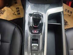 Haval Chitu Jingxiang Edition 1.5T Purple Copper Rabbit - ფოტო 14