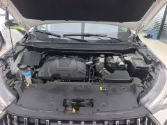Haval Chitu Jingxiang Edition 1.5T Purple Copper Rabbit - ფოტო 20