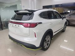 Haval Chitu Jingxiang Edition 1.5T Purple Copper Rabbit - ფოტო 7
