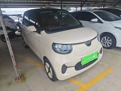 BYD Xiaohoo EV 2021 FOR-Four Good Tiger Ternary Lithium - ფოტო 4