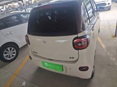 BYD Xiaohoo EV 2021 FOR-Four Good Tiger Ternary Lithium - ფოტო 6