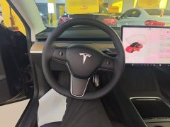 Tesla Model 3 Standard Range RWD Upgrade - ფოტო 11