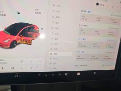 Tesla Model 3 Standard Range RWD Upgrade - ფოტო 12