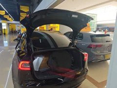 Tesla Model 3 Standard Range RWD Upgrade - ფოტო 19