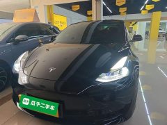 Tesla Model 3 Standard Range RWD Upgrade - ფოტო 3