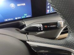 Buick GL8 New Energy Lusang Respect Edition - ფოტო 14