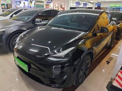 Tesla Model Y 2023 Rear-Wheel Drive - ფოტო 1
