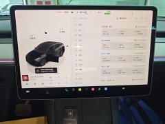 Tesla Model Y 2023 Rear-Wheel Drive - ფოტო 12