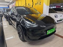 Tesla Model Y 2023 Rear-Wheel Drive - ფოტო 4