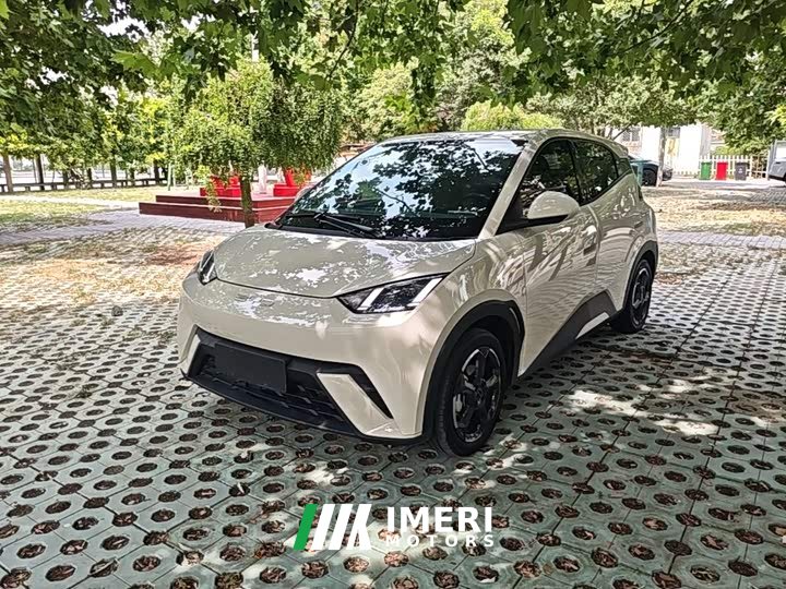 BYD Seagull Freedom Edition - ავტომობილი ჩინეთიდან