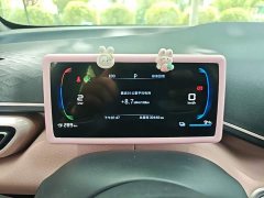 BYD Seagull Freedom Edition - ფოტო 12