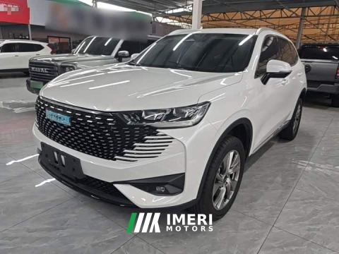 2023 Haval H6 New Energy DHT-PHEV 55KM Comfort Edition