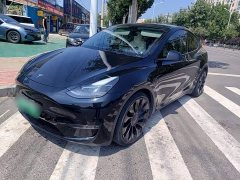 Tesla Model Y 2021 Performance All-Wheel Drive - ფოტო 1