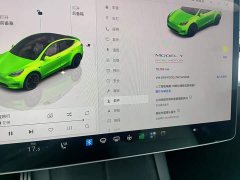 Tesla Model Y 2021 Performance All-Wheel Drive - ფოტო 12