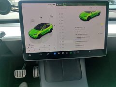 Tesla Model Y 2021 Performance All-Wheel Drive - ფოტო 13