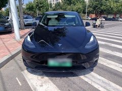 Tesla Model Y 2021 Performance All-Wheel Drive - ფოტო 3