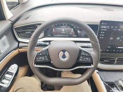 Denza BYD Denza D9 EV 600 AWD Flagship - ფოტო 11