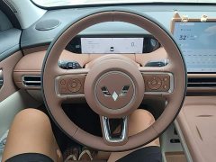 Wuling Bingguo S 2025 325km Deluxe Edition - ფოტო 11