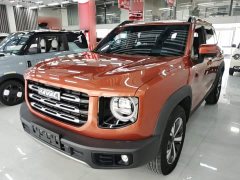 Great Wall Dachshund 1.5T DCT Two-Wheel Drive Labrador Edition - ფოტო 1
