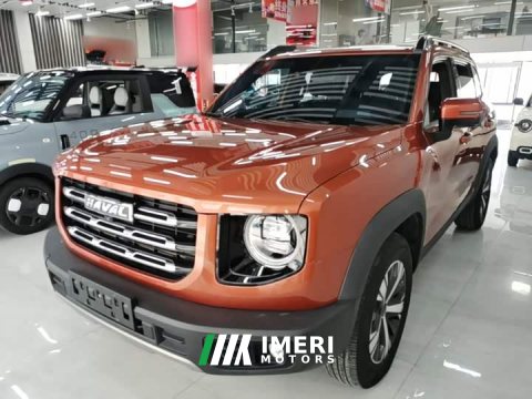 2021 Great Wall Dachshund 1.5T DCT Two-Wheel Drive Labrador Edition - ავტომობილი ჩინეთიდან