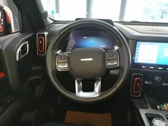 Great Wall Dachshund 1.5T DCT Two-Wheel Drive Labrador Edition - ფოტო 11