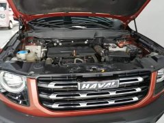 Great Wall Dachshund 1.5T DCT Two-Wheel Drive Labrador Edition - ფოტო 20