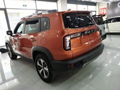Great Wall Dachshund 1.5T DCT Two-Wheel Drive Labrador Edition - ფოტო 5