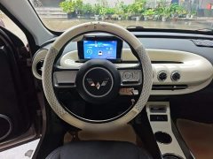 Wuling Binguo 203km Light Enjoy Edition - ფოტო 11