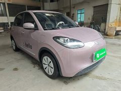 Wuling Binguo 203km Light Enjoy Edition - ფოტო 4