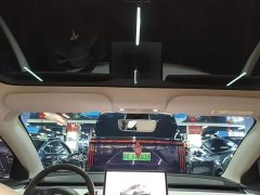 Tesla Model 3 2022 Rear-Wheel Drive - ფოტო 18