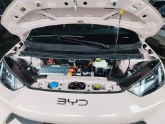 BYD Seagull 305km Vitality Edition - ფოტო 20