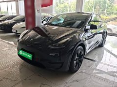 Tesla Model Y Rear-Wheel Drive - ფოტო 1