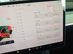 Tesla Model Y Rear-Wheel Drive - ფოტო 12