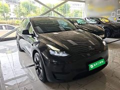 Tesla Model Y Rear-Wheel Drive - ფოტო 4