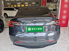 Tesla Model Y Rear-Wheel Drive - ფოტო 6